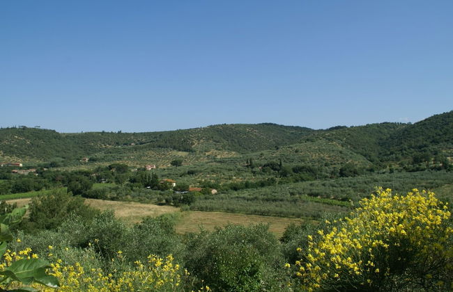 Rustic Charm, Modern Comfort - Foto 23