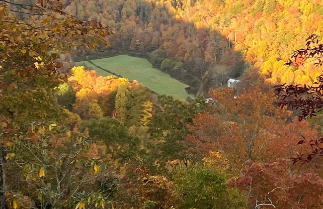 A Bears Heaven - Foto 17