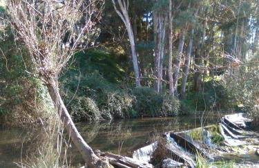 Hotel Casa Paco - Foto 10