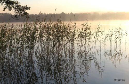 Drewniany domek nad jeziorem w Sitnie - Foto 16