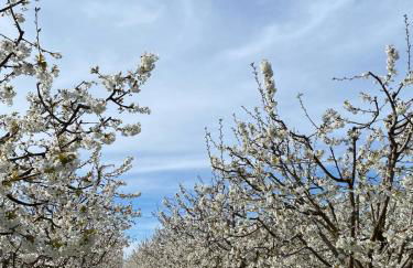 Bastidon, Petite bastide pour 2 avec bassin et jardin privé - Foto 54