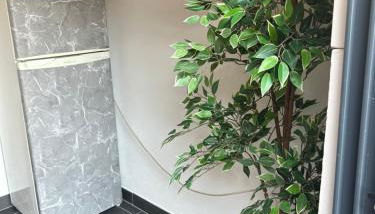 Vivenda Branca Martinho II - Photo 5