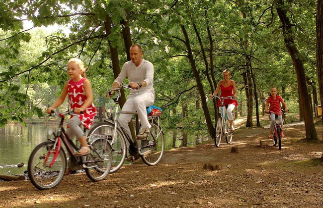 Chalet Near Eindhoven in a Green Oasis - Photo 4