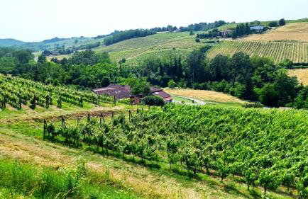 Agriturismo Cascina Tollu - Foto 16