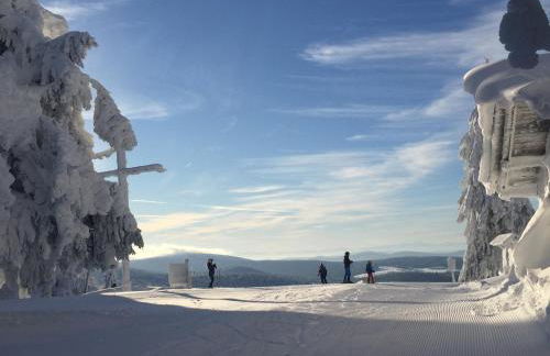 Traumblick Bayerischer Wald, Pool & Sauna, Getränke, Klimaanlage - Foto 55