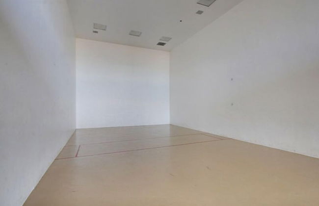 Phoenix X #1011 - Foto 2