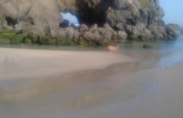 Apartamentos Rurales el Ferreirón - Foto 55