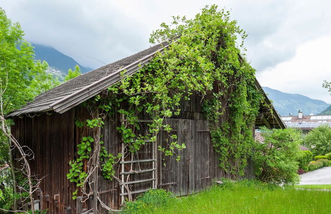 Moiklerhof Apartment - Foto 29