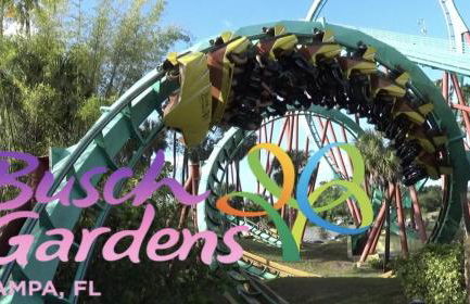 Cozy Hyde Park Home - Foto 50