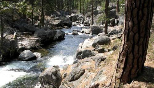 Exceptional Riverside Cabin Rental in the Trees near Pinecrest Lake, California - Photo 5