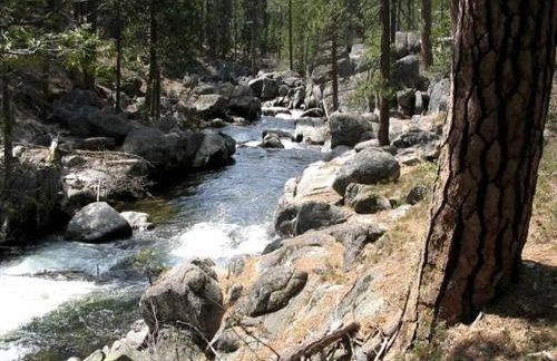 Exceptional Riverside Cabin Rental in the Trees near Pinecrest Lake, California - Foto 5