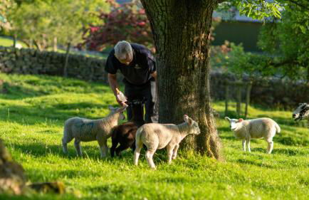 Hillside Haven, panoramic views Nr Bakewell - Photo 7