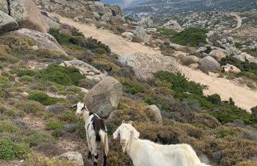 Galatea House Katoï with patio - Foto 47