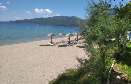 Angie's Summertime - Foto 5