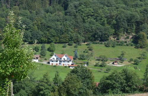 in the heart of the Rench Valley - Foto 19