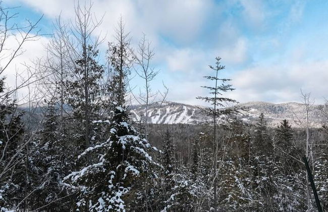 Le Sherpa -spa Billard et acc s au lac - Foto 52