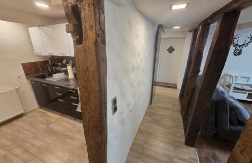 Zauberhafte Wohnung in der Nähe von Heidelberg, top Lage - Foto 6