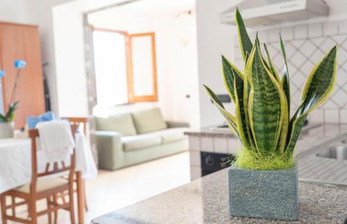 Olga's Relais with pool - Foto 66