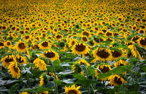 Ferienwohnung Solaris - Foto 27