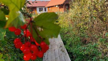 Domki Lawendowy Zakątek - Foto 4