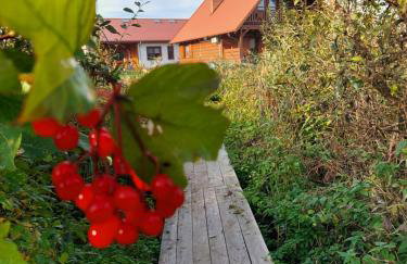 Domki Lawendowy Zakątek - Foto 4