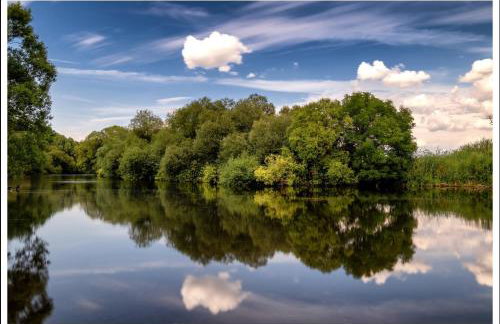 Juttis Bude - Foto 12