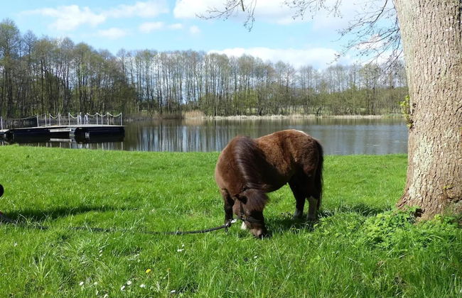 Chalet in Wendorf - Foto 30