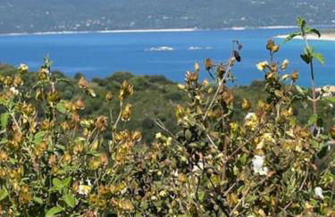 Villa avec vue panoramique mer et montagne - Foto 12