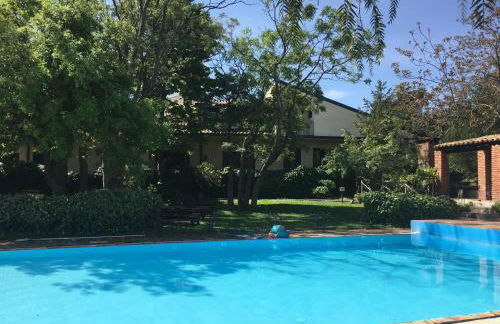 Il palmento - Foto 2