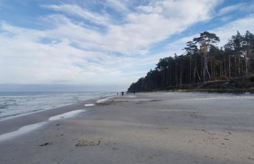Perle (Ferienhaus) an der polnischen Ostsee - Foto 35
