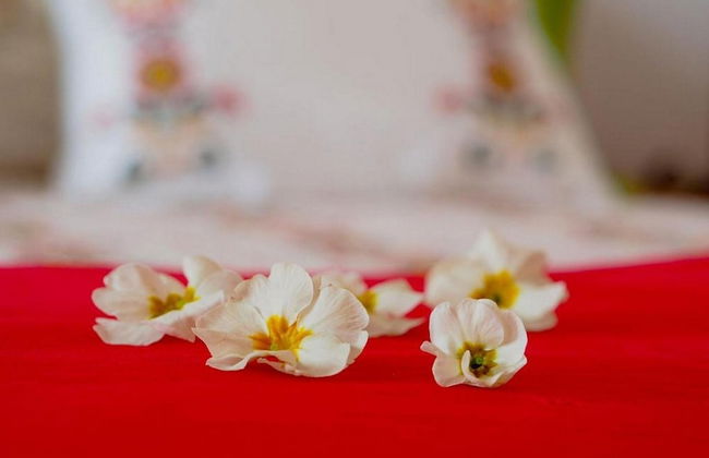 Villa Antonija - Four-bedroom Villa With Terrace and Private Pool - Foto 3