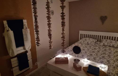 Petit cocon quartier historique Chaumont - Foto 2