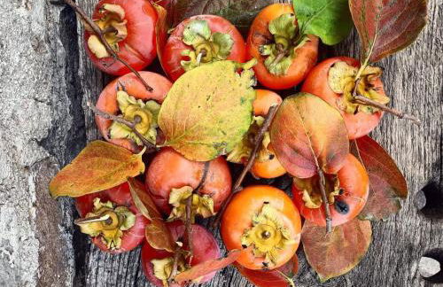 Rustic hillside stone-Rustico in pietra - Foto 30