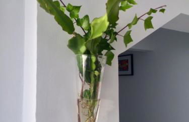 Wish you were here - Foto 55