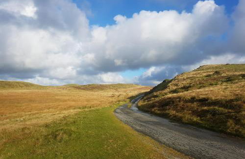 Welshhomestead - Foto 16