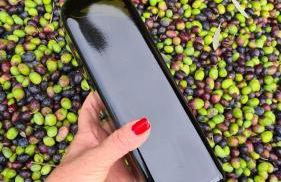 Villa gli Ulivi Chalten Apartment - Foto 41