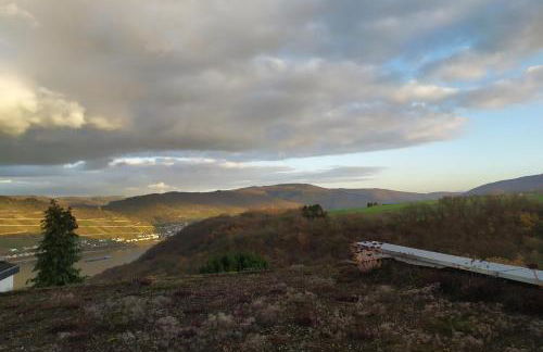 Schau-Rhein#2 - on Top of Bacharach, Rhineview - Photo 33