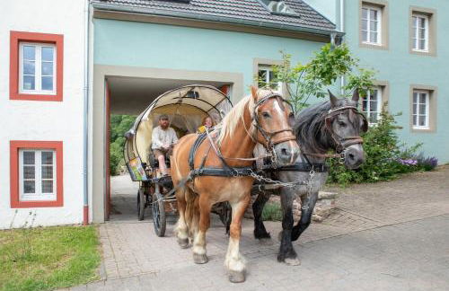 Nengshof Ferienhaus Glockenblume - Foto 22