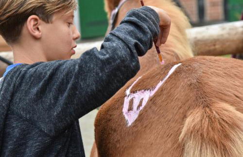 504 Stallgeflüster - Foto 40