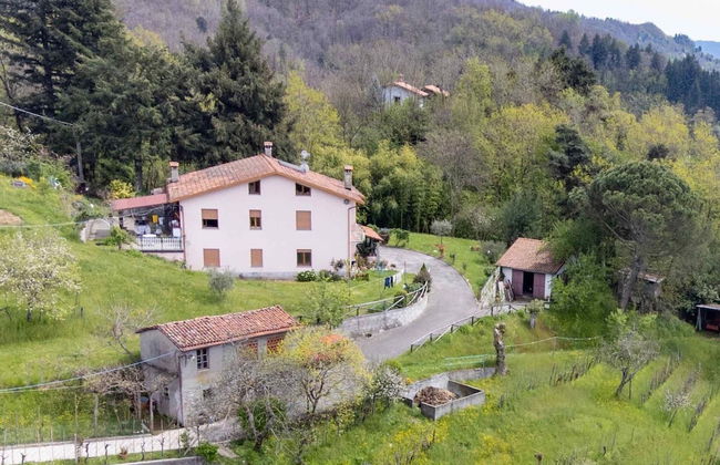 Holiday Home in Tuscany With Scenic Views - Foto 30