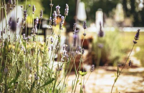 Luxury Villa Četiri Hrasta - Foto 34