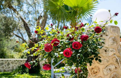 Superior Apartment A - Foto 29