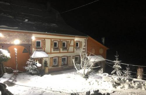 Maison pittoresque à Sainte-Croix-aux-Mines, vue sur la montagne - Foto 75