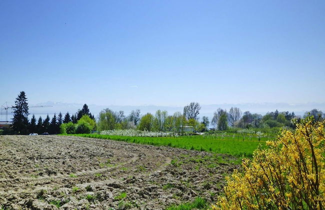 Chalet by Lake Constance With Alpine Views - Foto 23