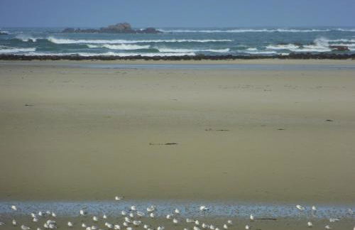 La Maison Bateau au Bord de Mer - Photo 35