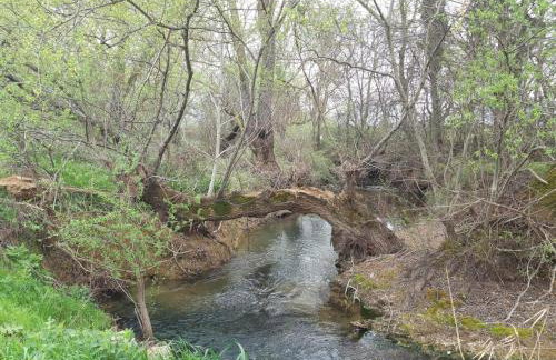 Georgia's Village House - Foto 55