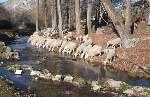Casas Rurales El Nacimiento - Foto 43