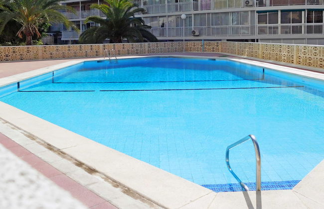 Halcon Levante - Foto 5