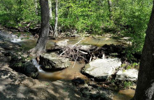 Rustic A-Frame Cabin in the Lush Woodlands of Grubville, Missouri - Foto 22