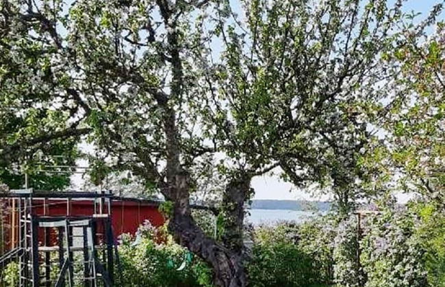 4 Person Holiday Home in Mariestad-by Traum - Photo 23